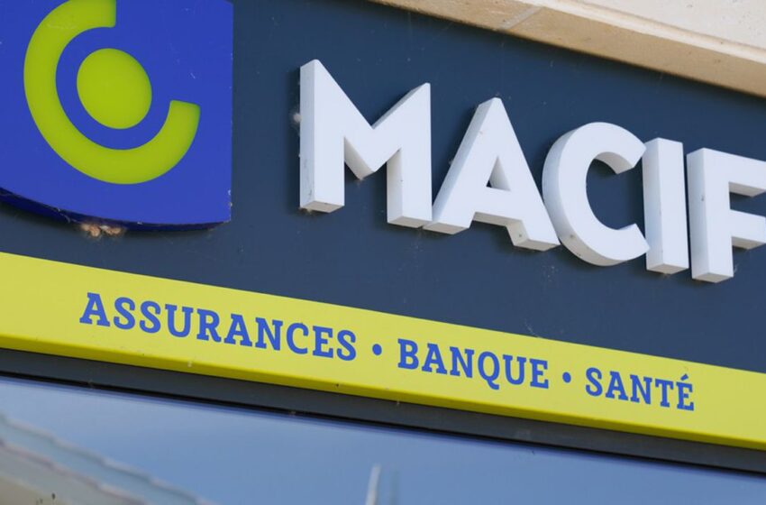 La Macif recrute 200 alternants et lance 12 nouvelles classes