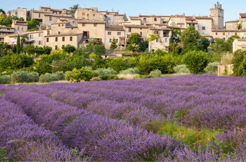 SC-Provence lance sa boutique en ligne !