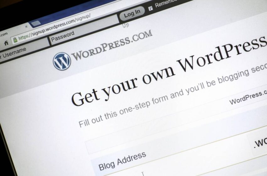 Formation WordPress : du débutant au professionnel