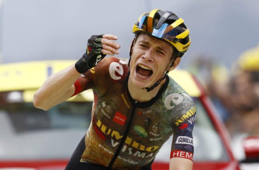 Jonas Vingegaard : parcours, palmarès, Tour de France